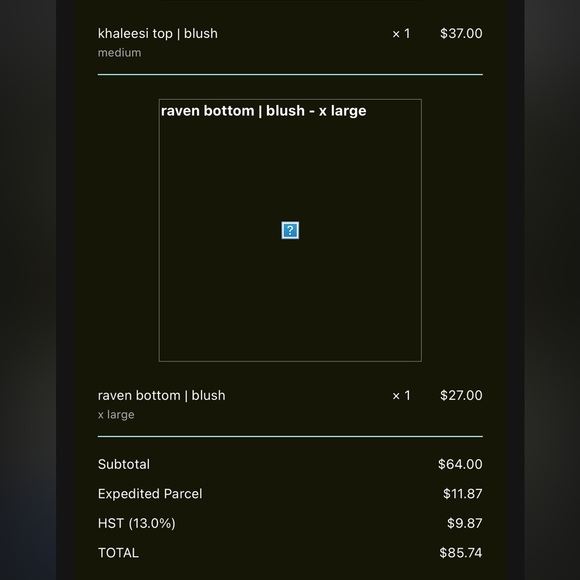 Knight Swim Bikini NWT - Picture 6 of 7